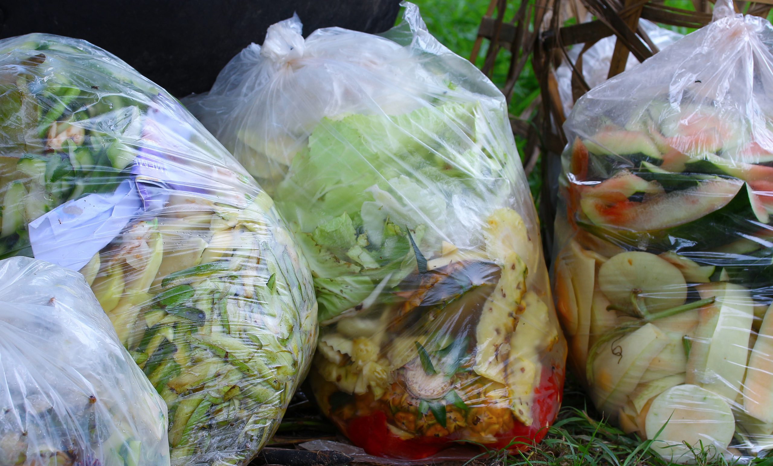 How Plastic Packaging Reduces the Wastage of Food